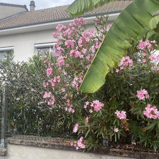  Annonces LIMOGES : Maison / Villa | LIMOGES (87100) | 140 m2 | 233 700 &euro; 