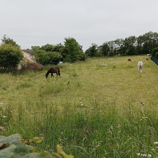  Annonces LIMOGES : Terrain | EYJEAUX (87220) | 210 m2 | 336 000 &euro; 