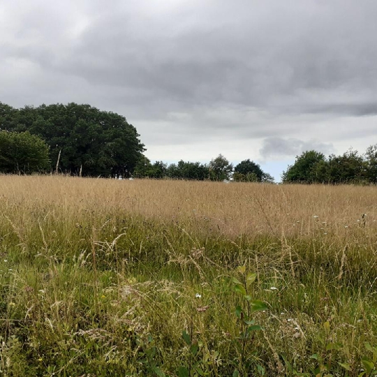  Annonces LIMOGES : Ground | SAINT-PRIEST-SOUS-AIXE (87700) | 6 611 m2 | 5 000 &euro; 