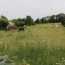  Annonces LIMOGES : Terrain | EYJEAUX (87220) | 210 m2 | 336 000 &euro; 