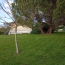  Annonces LIMOGES : Maison / Villa | ISLE (87170) | 127 m2 | 222 600 &euro; 