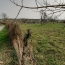  Annonces LIMOGES : Terrain | BOSMIE-L'AIGUILLE (87110) | 880 m2 | 47 040 &euro; 