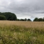  Annonces LIMOGES : Ground | SAINT-PRIEST-SOUS-AIXE (87700) | 6 611 m2 | 5 000 &euro; 