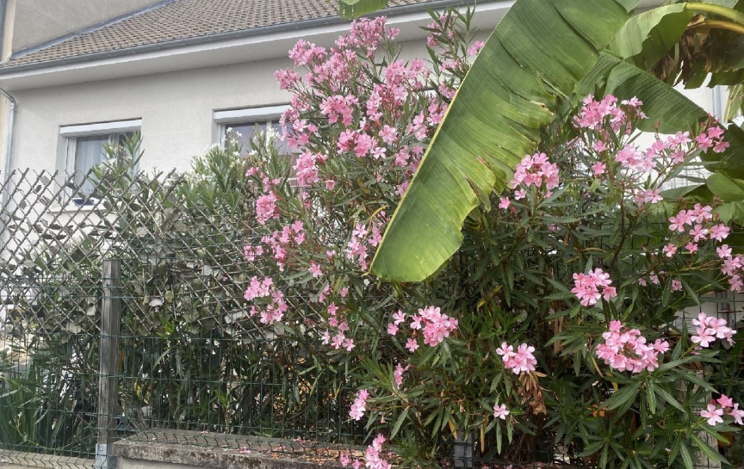 Annonces LIMOGES : Maison / Villa | LIMOGES (87100) | 140 m2 | 233 700 &euro; 