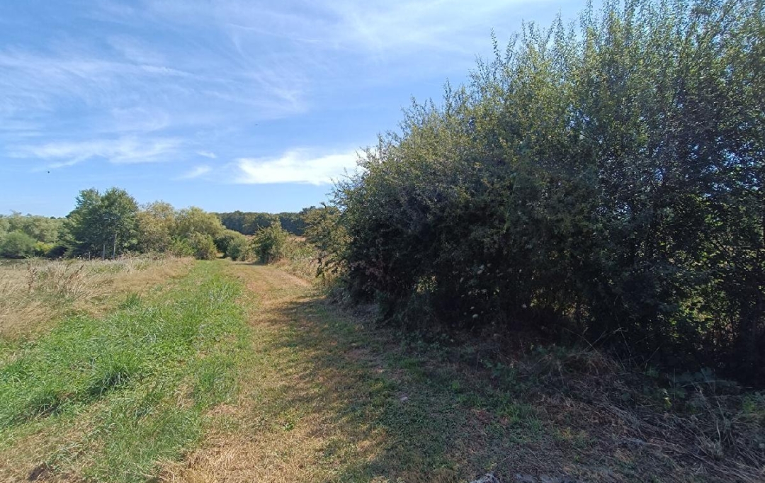Annonces LIMOGES : Maison / Villa | AIXE-SUR-VIENNE (87700) | 315 m2 | 629 200 &euro; 