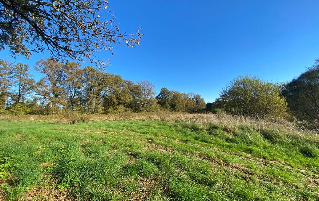 Annonces LIMOGES : Terrain | BURGNAC (87800) | 13 150 m2 | 8 500 &euro; 