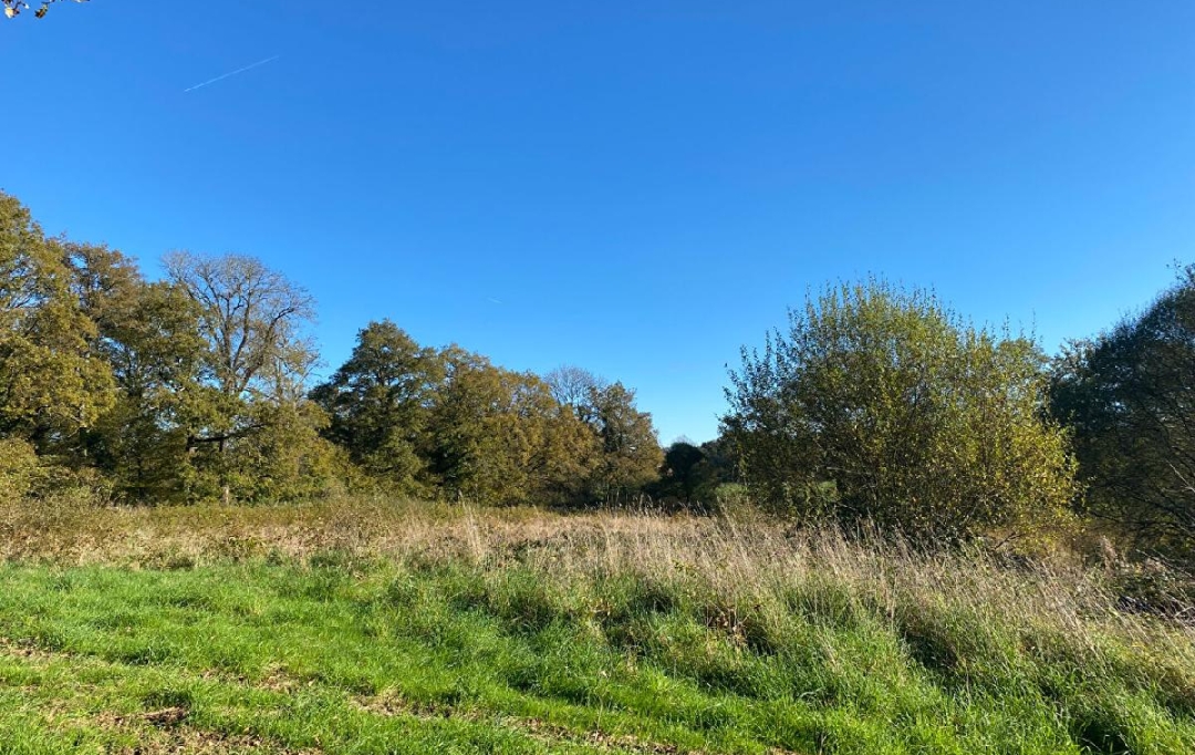 Annonces LIMOGES : Terrain | BURGNAC (87800) | 13 150 m2 | 8 500 &euro; 