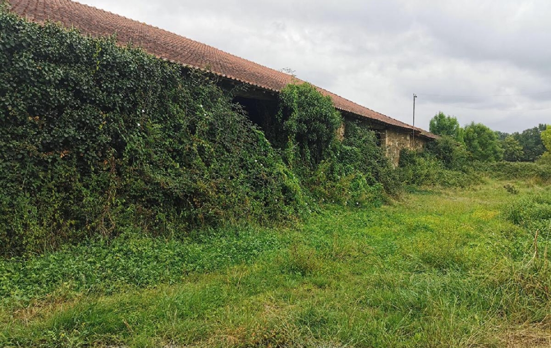 Annonces LIMOGES : House | MEILHAC (87800) | 270 m2 | 138 775 &euro; 