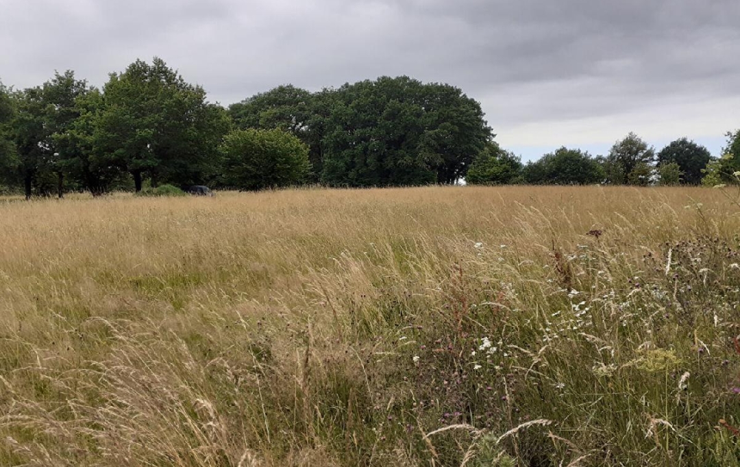 Annonces LIMOGES : Ground | SAINT-PRIEST-SOUS-AIXE (87700) | 6 611 m2 | 5 000 &euro; 