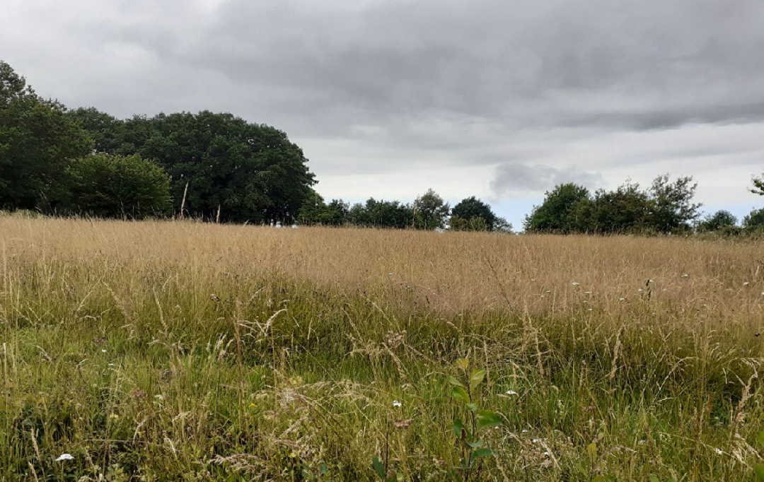 Annonces LIMOGES : Ground | SAINT-PRIEST-SOUS-AIXE (87700) | 6 611 m2 | 5 000 &euro; 