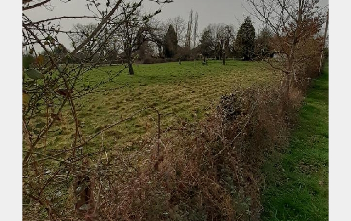  Annonces LIMOGES Ground | BOSMIE-L'AIGUILLE (87110) | 880 m2 | 47 040 € 