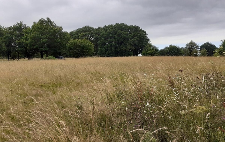  Annonces LIMOGES Ground | SAINT-PRIEST-SOUS-AIXE (87700) | 6 611 m2 | 5 000 € 